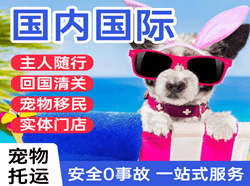 硕放机场快运国际宠物托运 【国